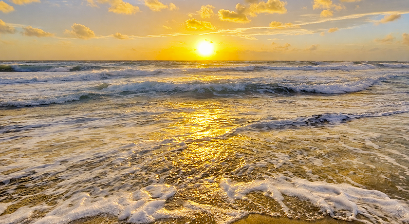 Dog Friendly Sea House