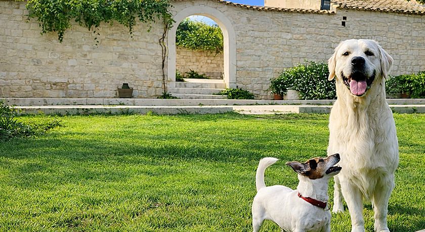 Torre Dantona Country Suites