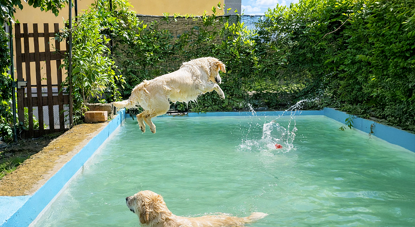 Agriturismo  Gravanella 