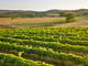 agriturismo consalvi