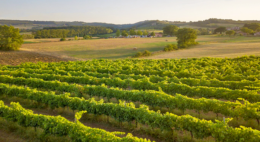 agriturismo consalvi