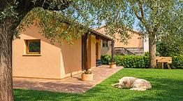 La Stalla di Nonno Zopito