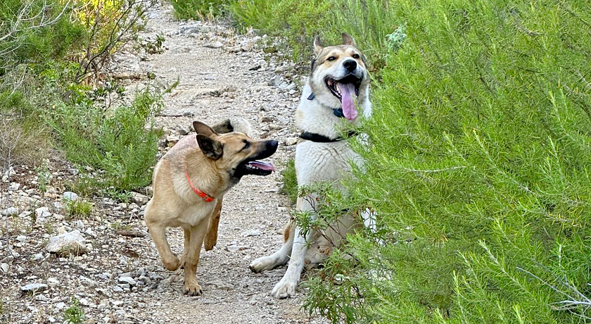 Agriturismo Amandolo