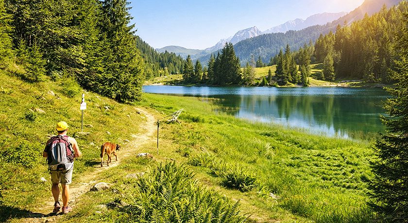 Residence Rosa delle Dolomiti