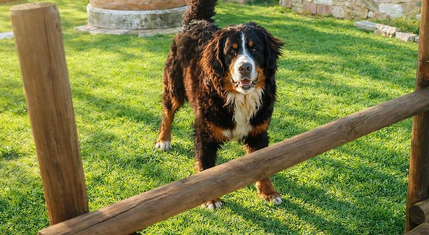Agriturismo Scannano