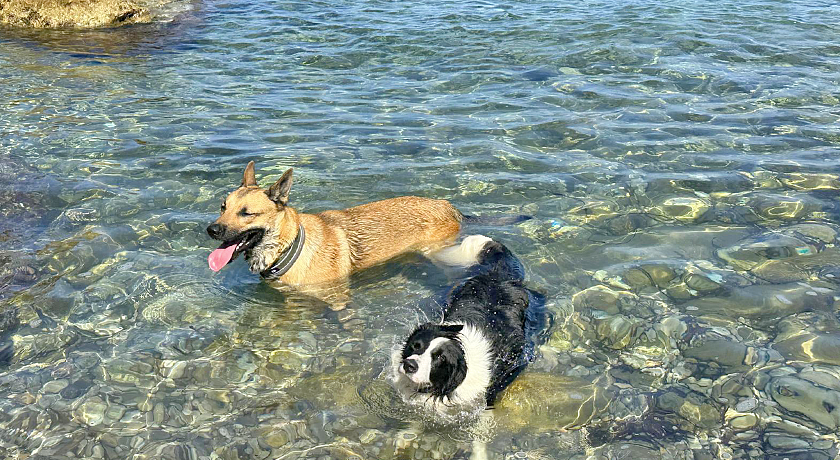 Agriturismo Amandolo