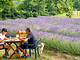 Agriturismo Metina