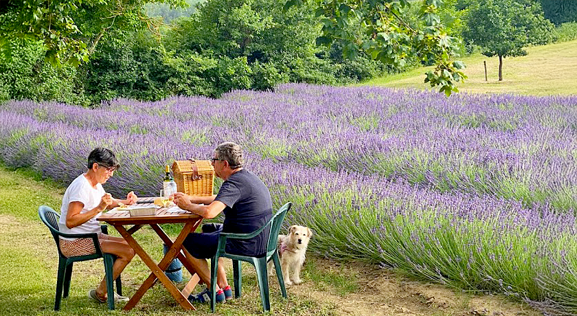 Agriturismo Metina