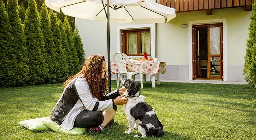 Residence Rosa delle Dolomiti