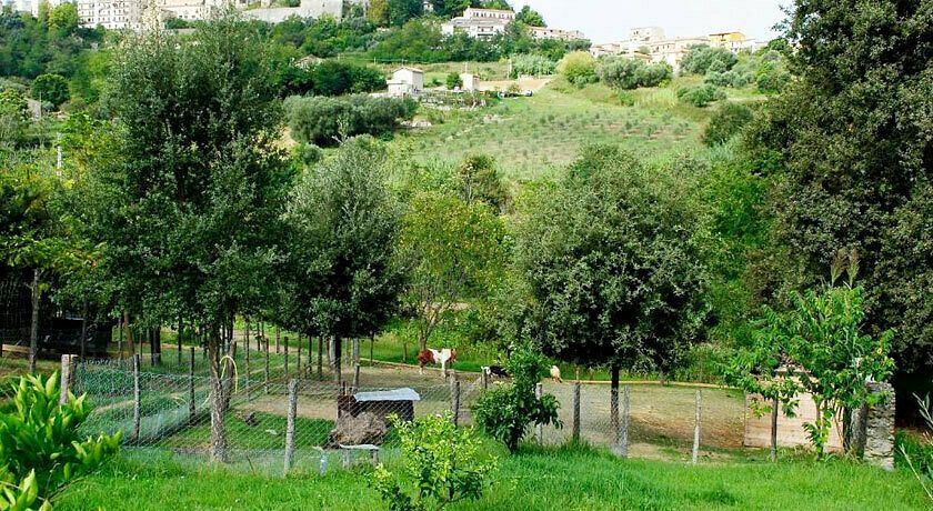 Agriturismo L'Arca di Anna Brambilla