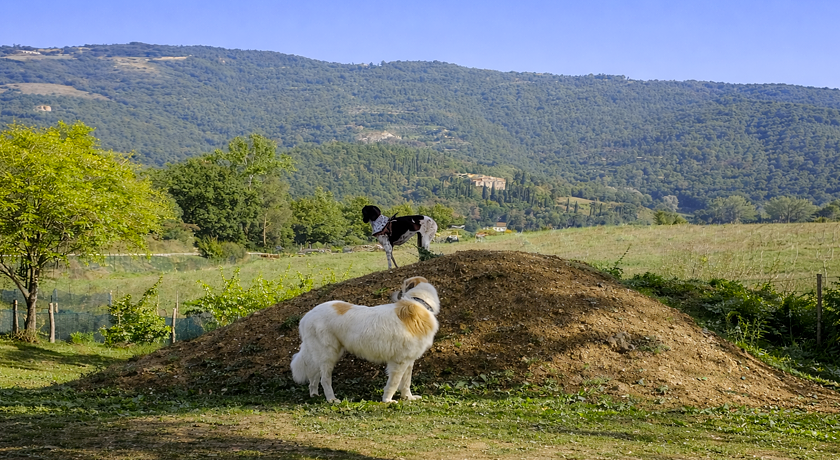 Agriturismo Il Cucciolo