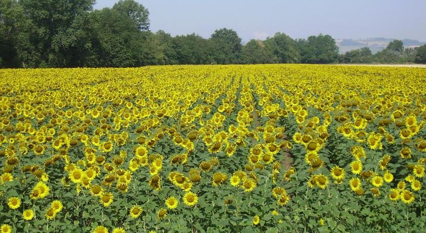 Le Case Coloniche Country House