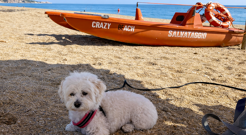 Tra gli ulivi e la Riviera del Conero