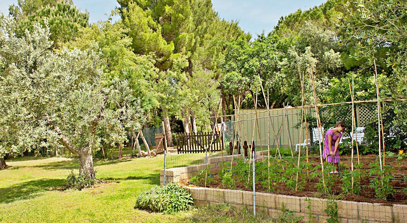 Agriturismo Podere Campalto
