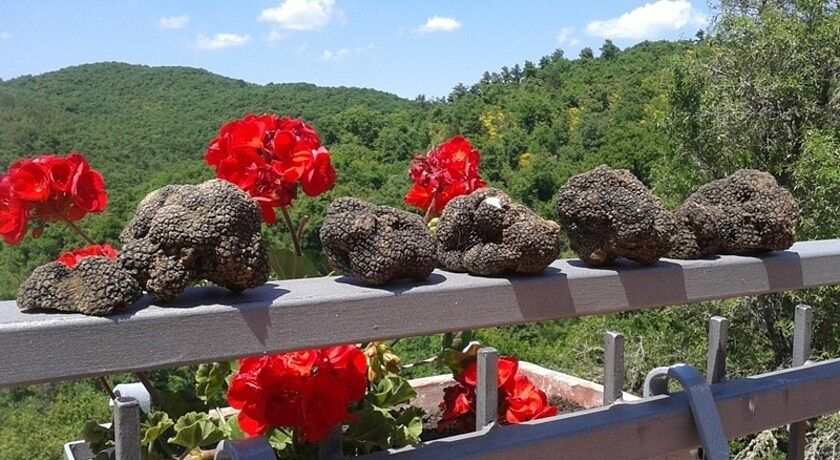 Agriturismo Borgo Spante