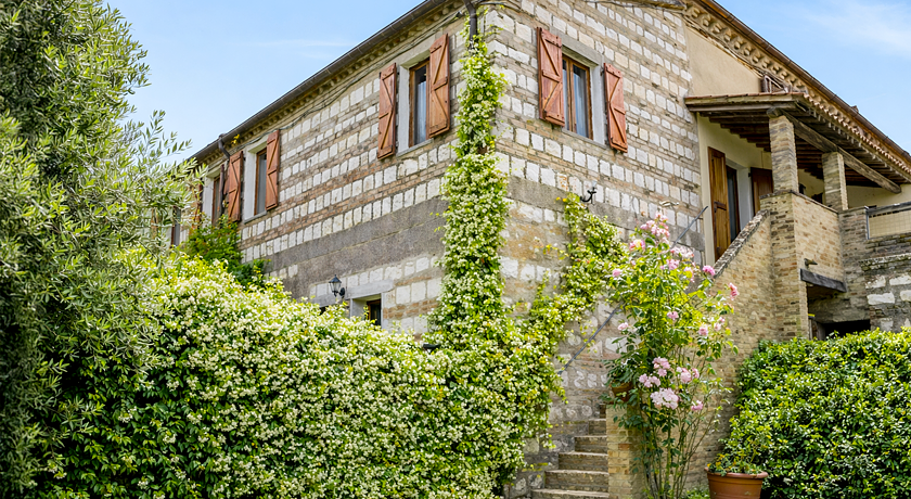 Tra gli ulivi e la Riviera del Conero