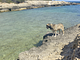 Il Trullo di Loa ad Ostuni, Mare e Valle d'Itria