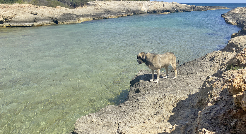 Il Trullo di Loa ad Ostuni, Mare e Valle d'Itria