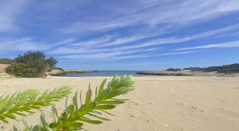 Il Trullo di Loa ad Ostuni, Mare e Valle d'Itria