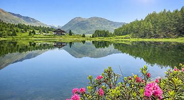 Rifugio al Lago del Mortirolo 