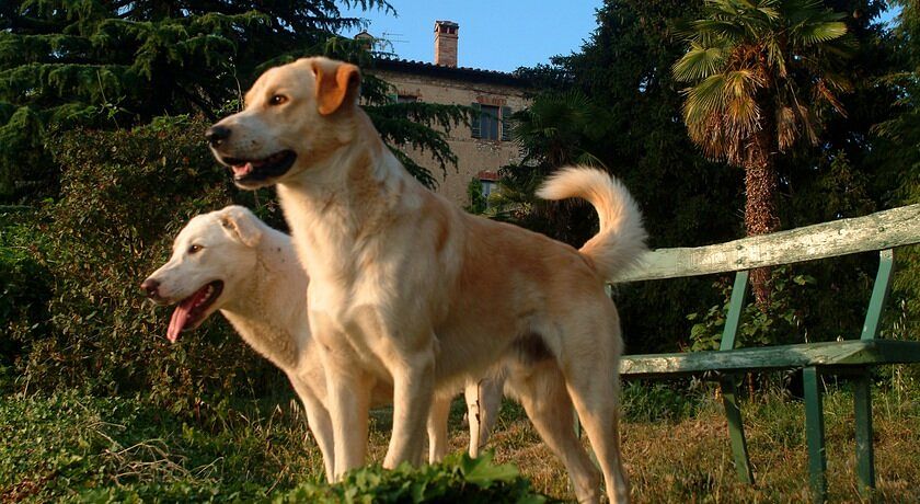 Agriturismo Borgo Spante