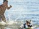 Camping La Spiaggia