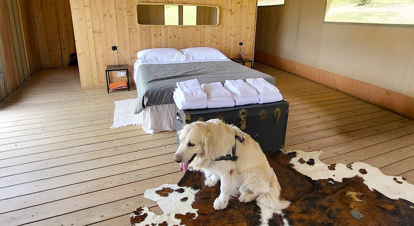 Tenuta San Lodovico (Glamping)