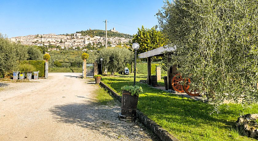 Agriturismo Giardino degli Olivi di Elisei Claudio