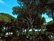 Riva dei Butteri Camping & Bungalow