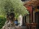 LOCANDA LA LODRONA