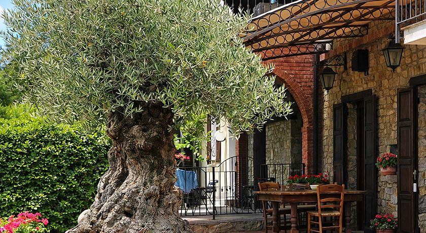 LOCANDA LA LODRONA