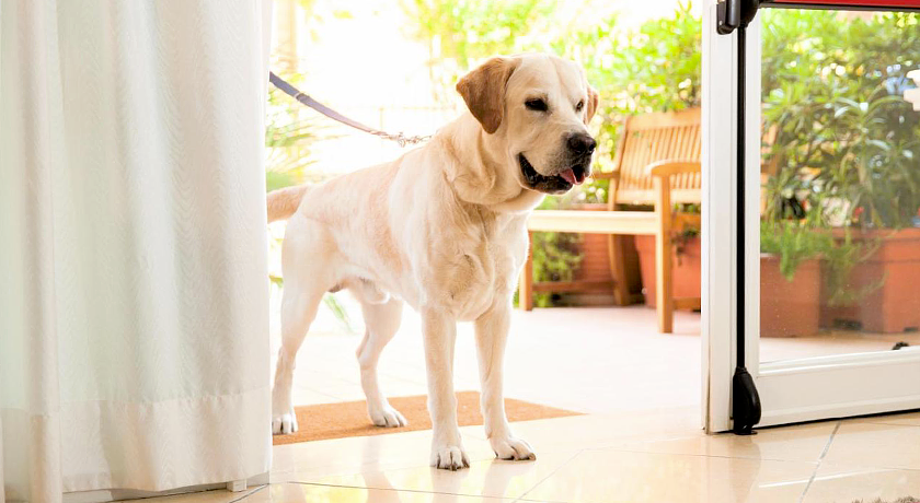 Residence Hotel Fellini