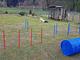 Camping Parco Adamello