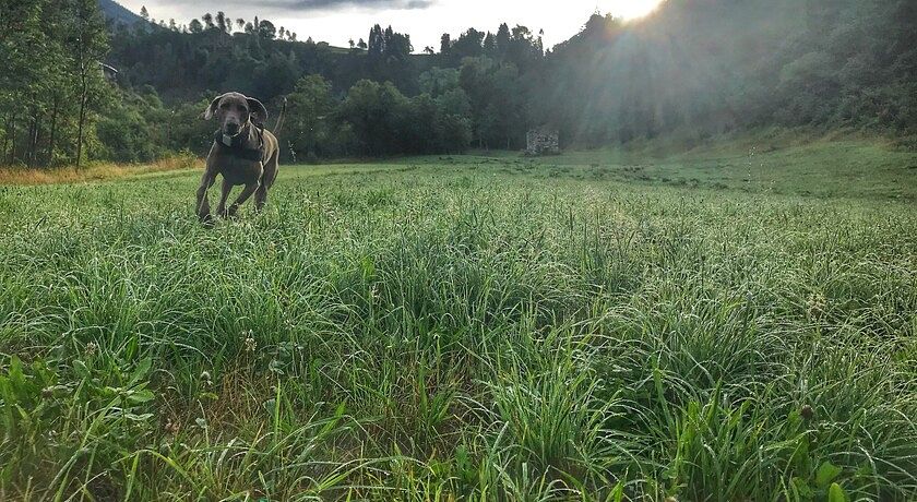 Eco-Baita Natura Spensierata