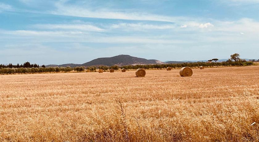 Agriturismo Le Giare 