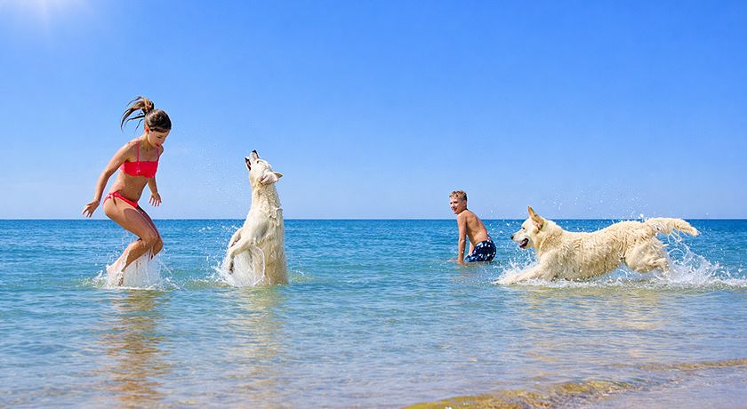 Hotel Promenade Universale