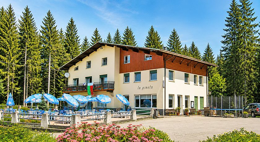 La Pineta