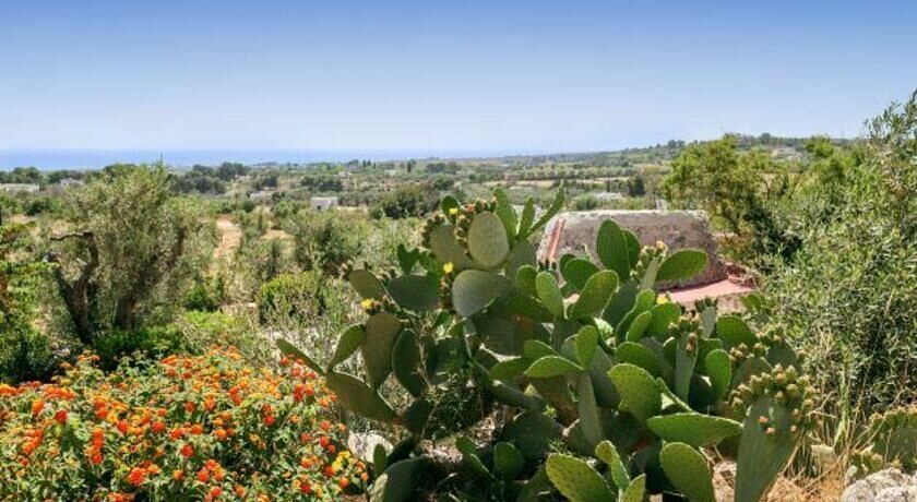 Liama piccola per 2 persone - Residence degli Ulivi