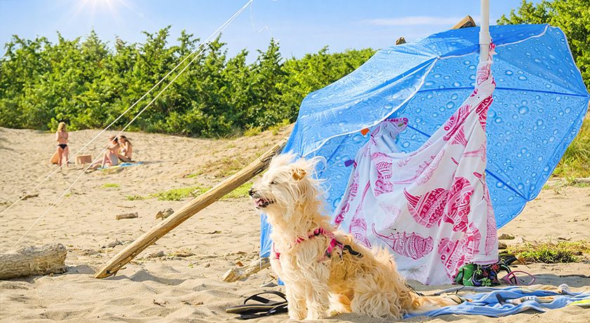 Gitavillage Le Marze