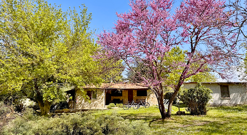 Agriturismo podere bello