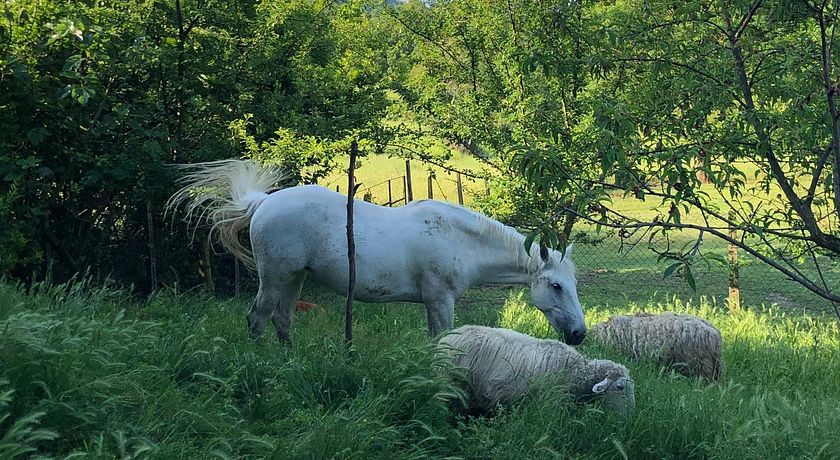 Podere Badia Valdrago Agriturismo