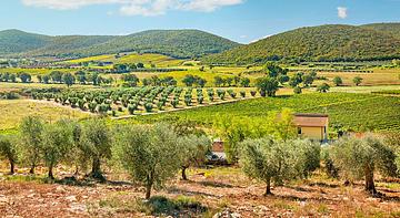 Poggiolivi Agriturismo Bio in Maremma