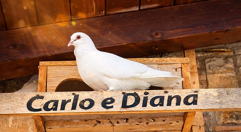 Villa Tre Colli Agri B&b