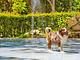 Roseto degli Abruzzi Easy Camping Village