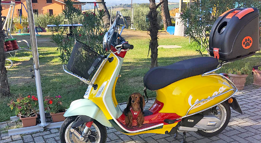 Camping Village Mar y Sierra