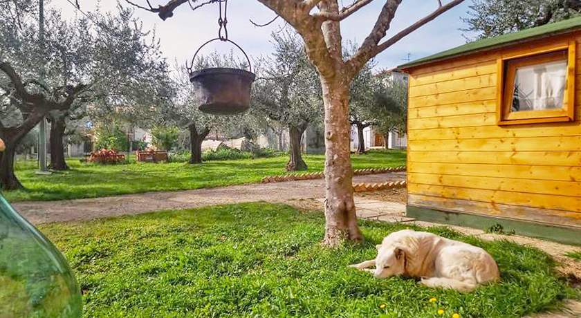 La Stalla di Nonno Zopito