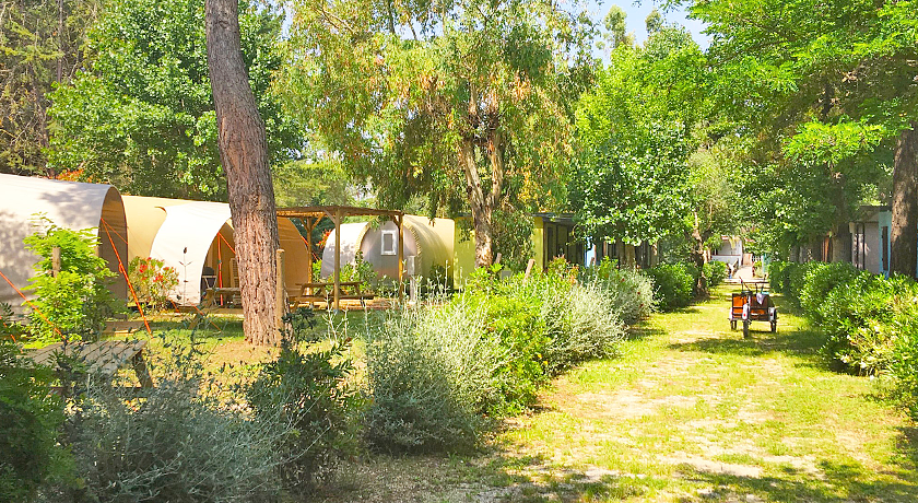 Camping Campo al Fico