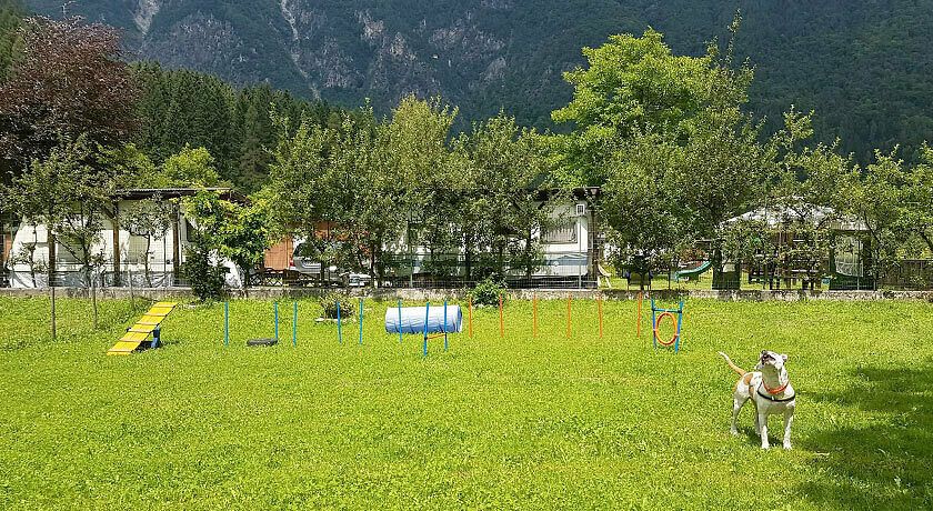 Camping Parco Adamello