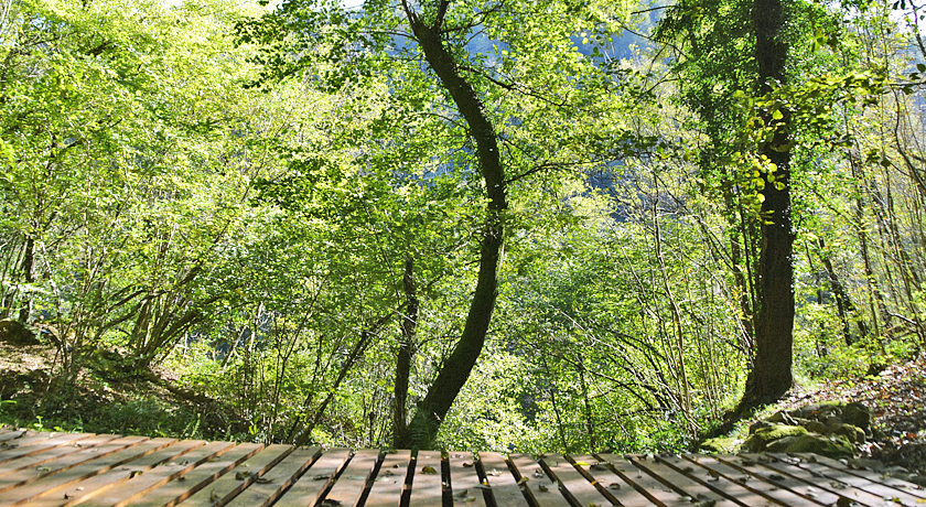 OASI LIGNANA Appartamenti Country Chic, immersi in 40 ettari di tenuta