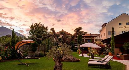 Struttura HOTEL & RESIDENCE TRAUBE 